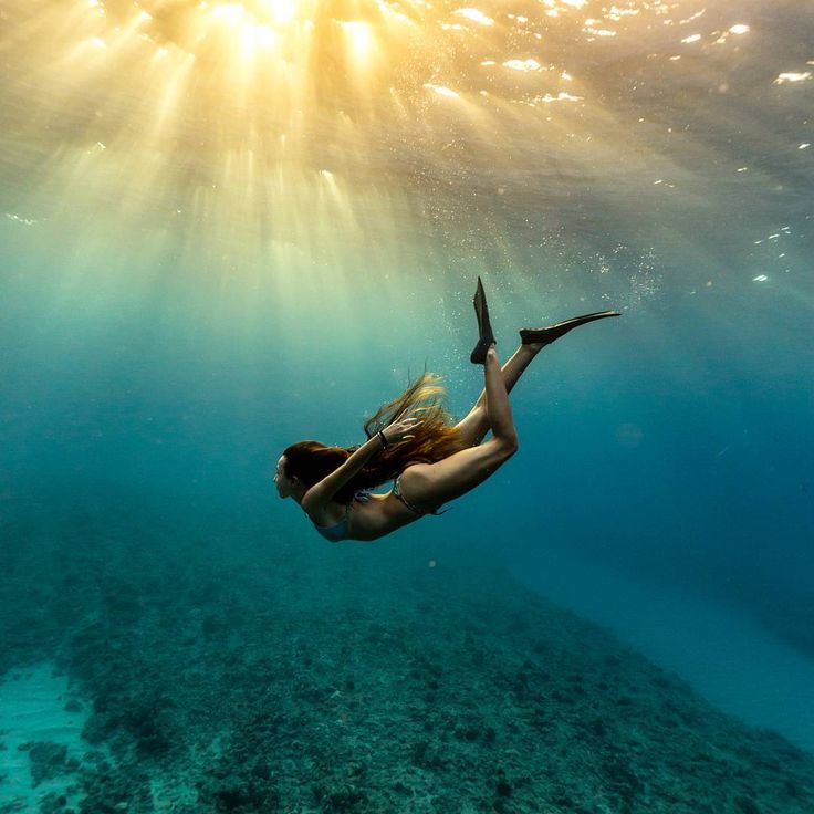 Sesión de fotos de snorkel (Bonaire)