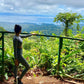 Brownsberg Nature Park Day Trip (Suriname) 