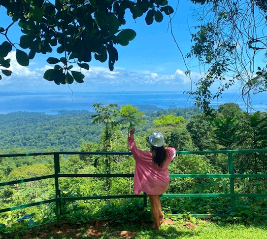 Excursión de un día al parque natural de Brownsberg (Surinam) 