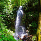 Brownsberg Nature Park Day Trip (Suriname) 