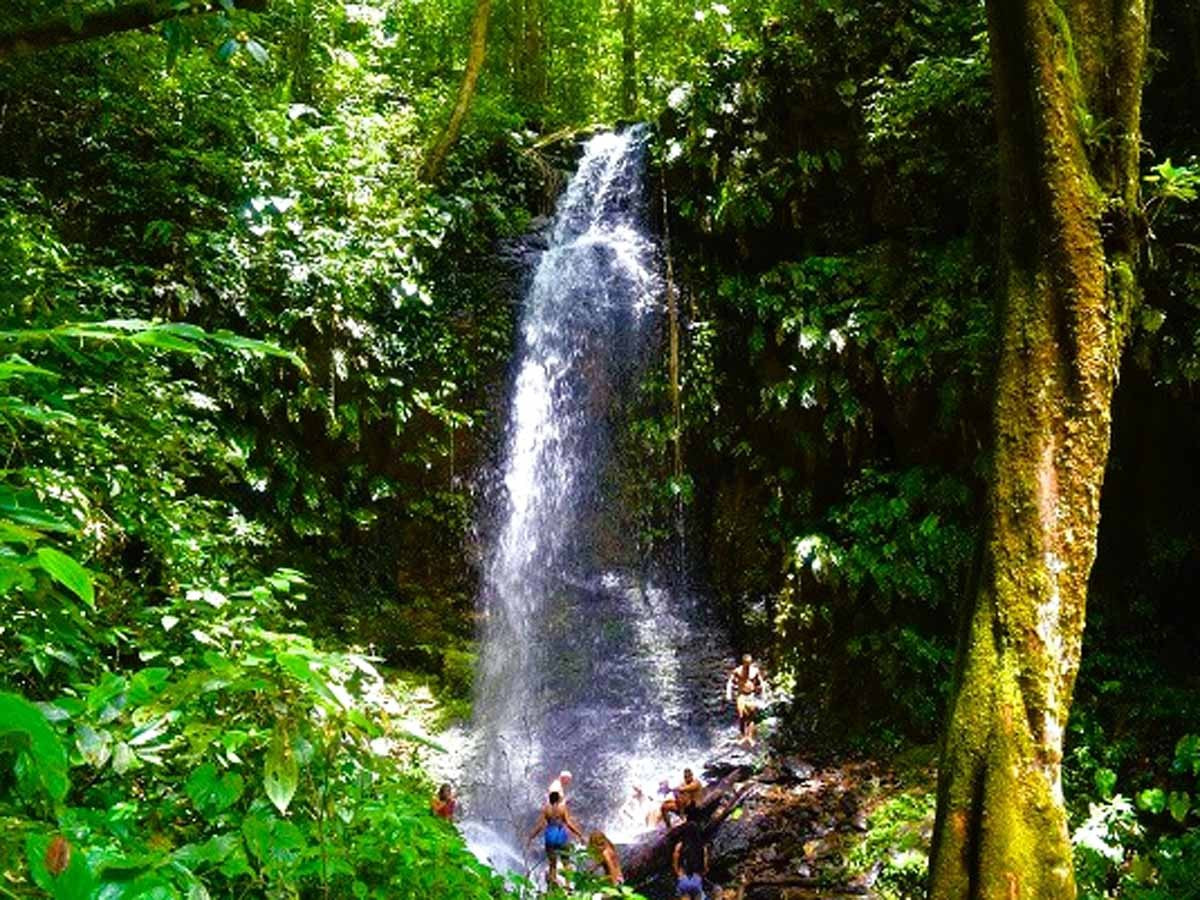 Excursión de un día al parque natural de Brownsberg (Surinam) 