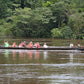 Excursión de un día a la Guayana Francesa (Surinam) 