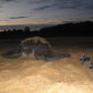 Schildpaddentour in de avond (Suriname)