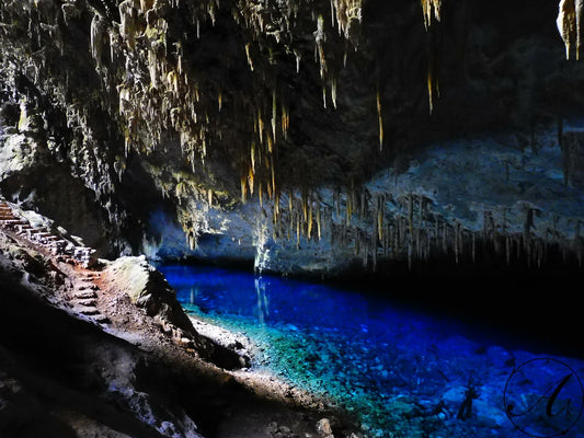 Visita las Cuevas y 1 Buceo con Tanque (Bonaire)