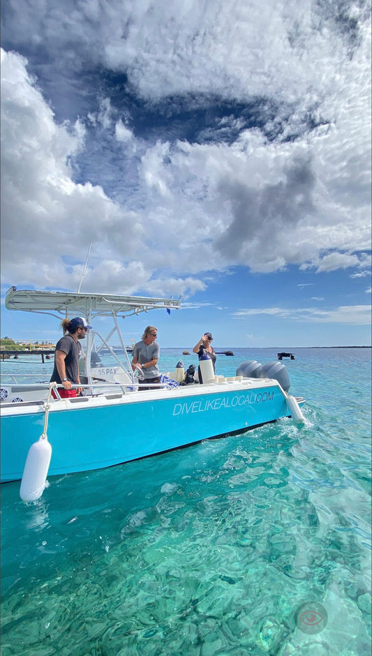 Boat trip with 2 snorkel stops (Bonaire)