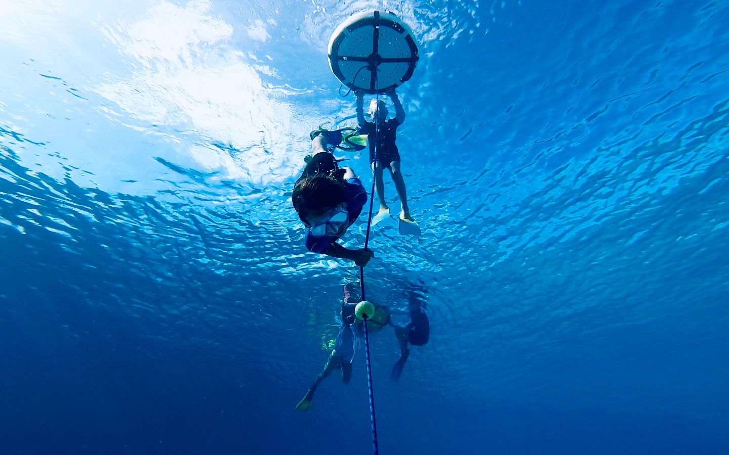 Descubre el buceo en apnea (Bonaire)