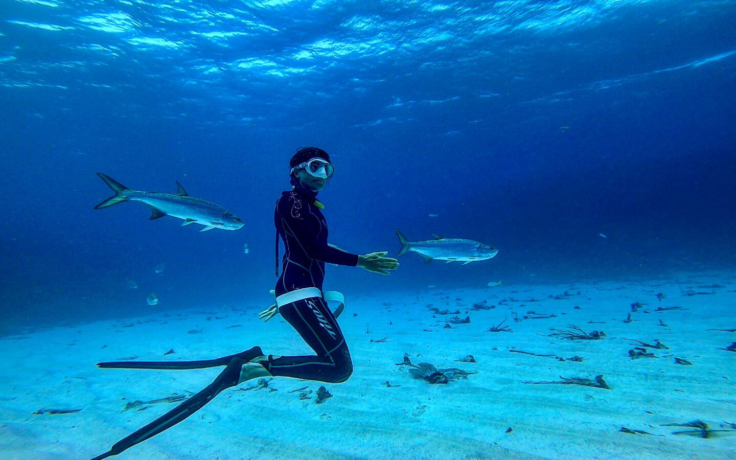 Descubre el buceo en apnea (Bonaire)