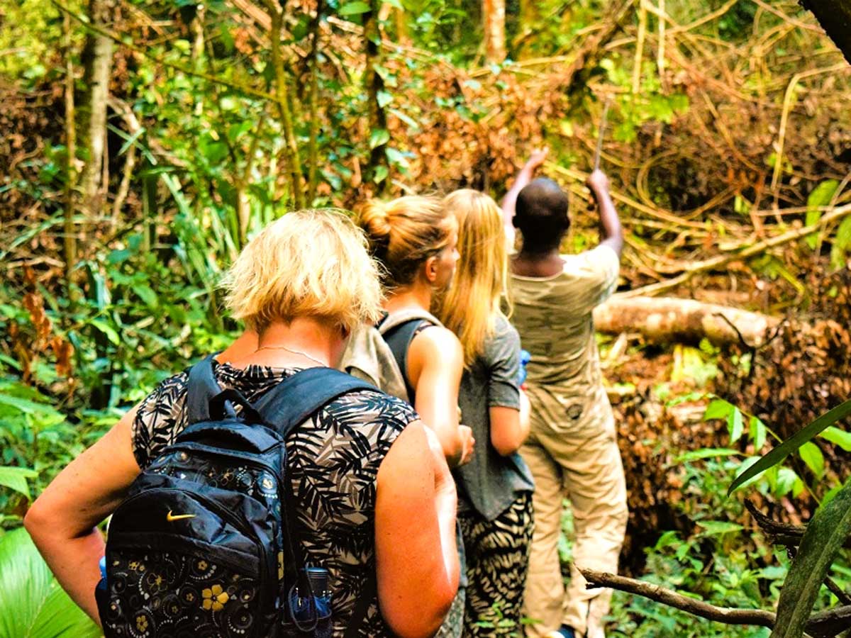 3 Dagen Isadou River Resort (Suriname)