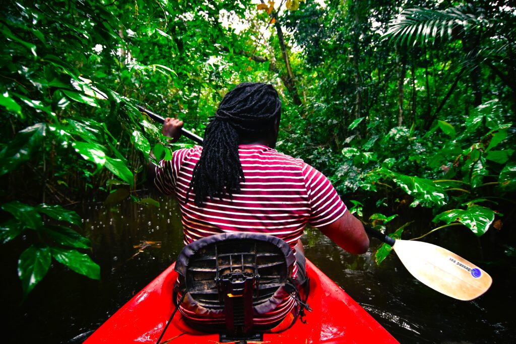 Peperpot Kayak Tour (Suriname)