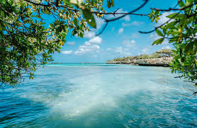 Mangel Halto & Baby Beach Off-Road Safari (Aruba)