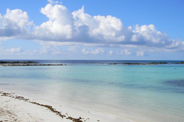 Mangel Halto & Baby Beach Off-Road Safari (Aruba)