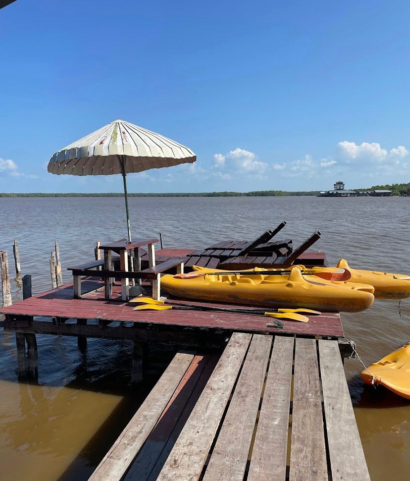 Viaje en kayak de 2 días a Coesewijne (Surinam)