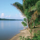 Commewijne Boottocht (Suriname)