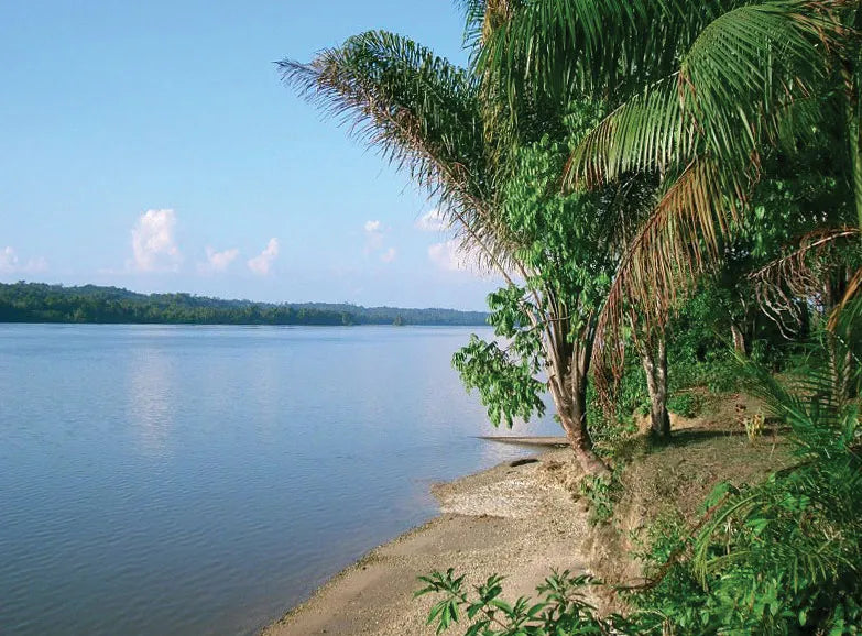 Paseo en barco por Commewijne (Surinam)