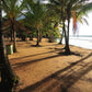 Paseo en barco por Jodensavanne (Surinam)
