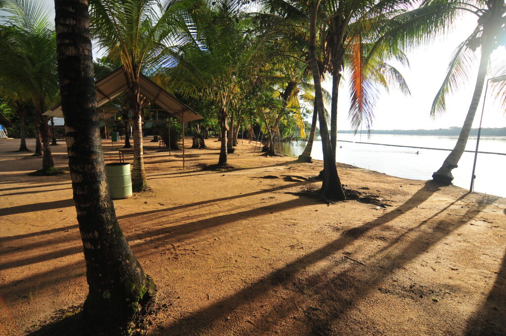 Jodensavanne Boat Trip (Suriname)