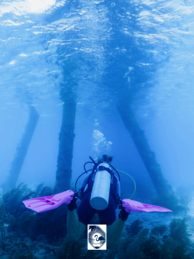 1 tank dive including equipment and tanks - South Coast (Bonaire)