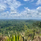 Expedición de 6 días al Gran Río Sintiadam (Surinam) 