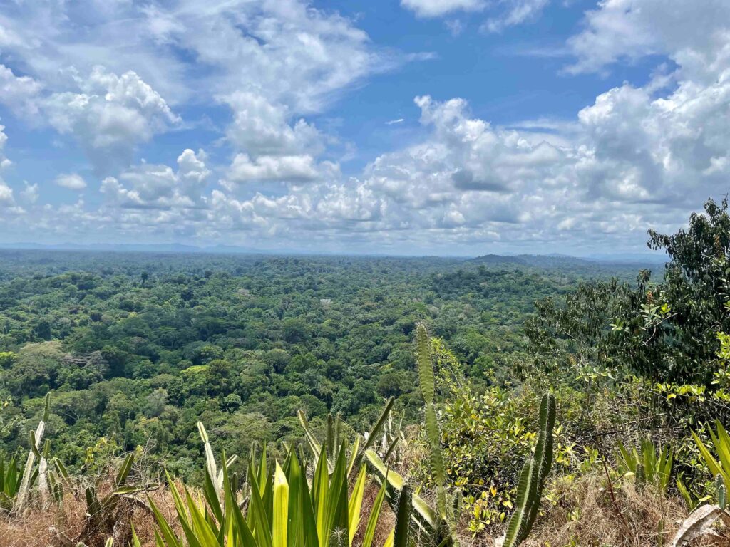 6 Dagen Gran Rio Sintiadam Expeditie (Suriname)