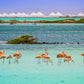 Privé Zuid Tour (Bonaire)