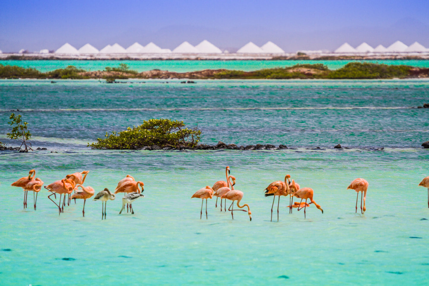 Privé Zuid Tour (Bonaire)