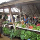 Culturele Markten Tour (Suriname)