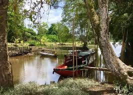 Jodensavanne Boat Trip (Suriname)