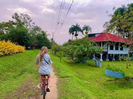 Excursión de un día Frederiksdorp (Surinam) 