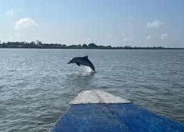 Paseo en barco por Commewijne (Surinam)