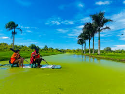 Excursión de un día Frederiksdorp (Surinam) 