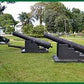 Commewijne Boottocht (Suriname)
