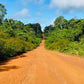 Jeep Safari through the interior (Suriname) 