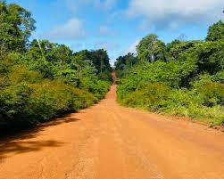 Jeep Safari door het binnenland (Suriname)