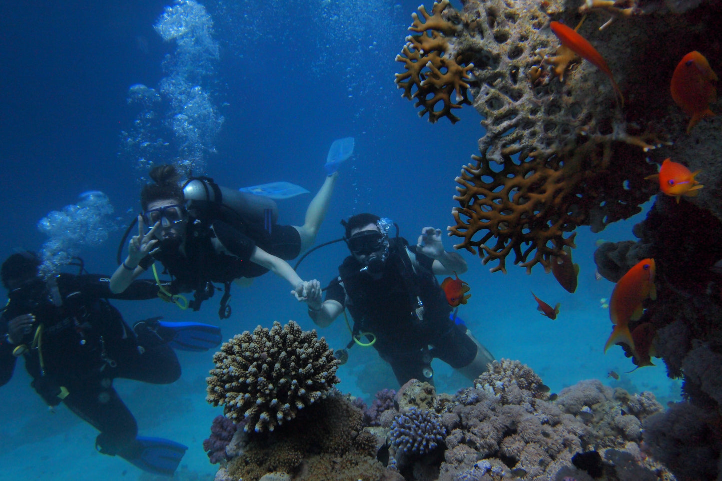 1 tank dive including equipment and tanks - West Coast (Bonaire)