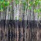 2 dagen Coesewijne kajak trip (Suriname)