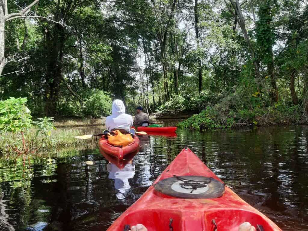Kajakkers varen achter elkaar door een smalle, beboste kreek in het Coesewijnegebied