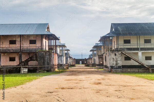 Frans Guyana Dagtrip (Suriname) - Afbeelding 2