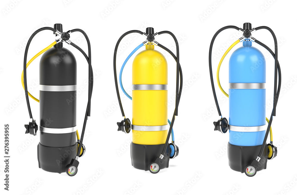 6 days of unlimited dive tanks (Bonaire)