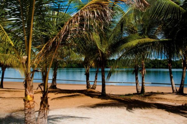 Dagtrip Overbridge River Resort (Suriname) - Afbeelding 2