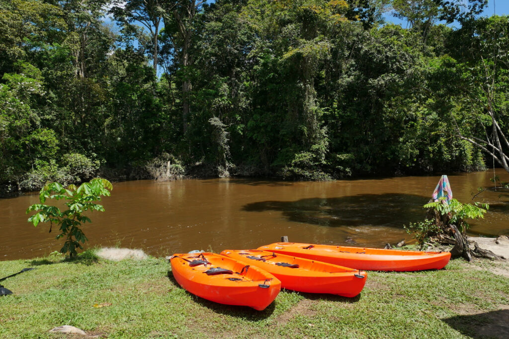 Aventura de 3 días en la selva de Fredberg (Surinam)