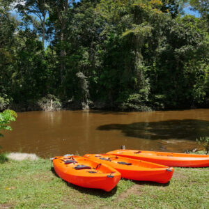 Aventura de 3 días en la selva de Fredberg (Surinam)