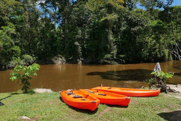 4 Dagen Fredberg Jungle Avontuur (Suriname) - Afbeelding 2