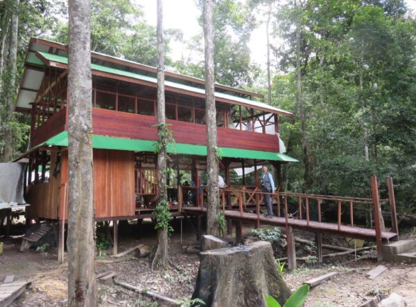 3 Dagen Fredberg Jungle Avontuur (Suriname) - Afbeelding 8
