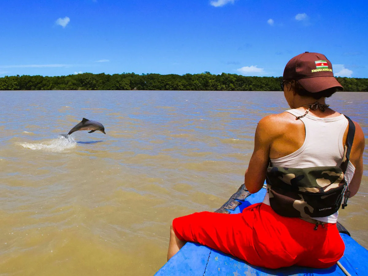 Dolfijnen kijken in suriname