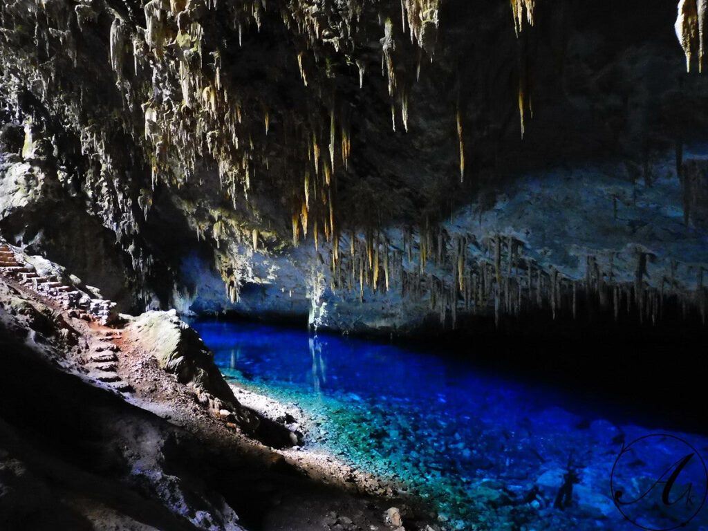 Bezoek de Grotten & 1 Tank Duik (Bonaire)