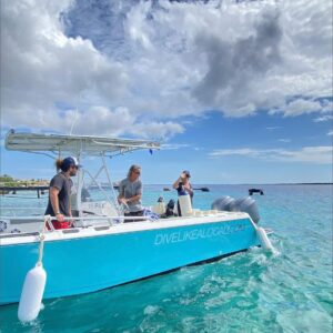 Excursión en barco con 2 paradas para hacer snorkel (Bonaire)