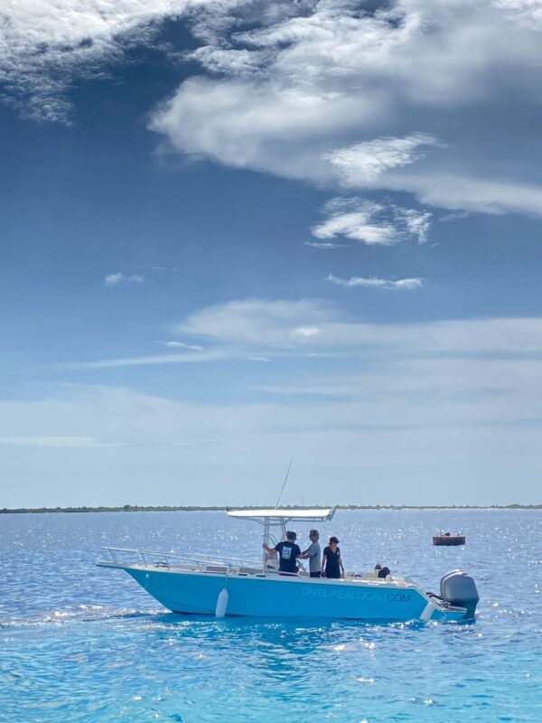 Boot trip met 2 snorkel stops (Bonaire) - Afbeelding 2