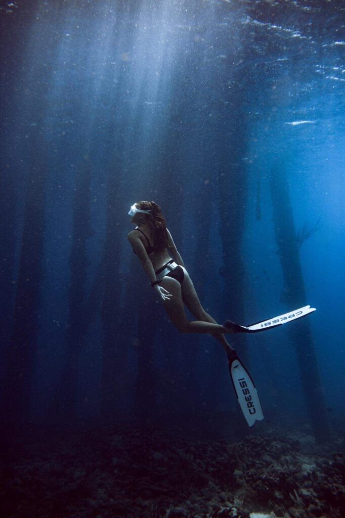 Aventura de apnea Buceo en el Muelle Salado (Bonaire)
