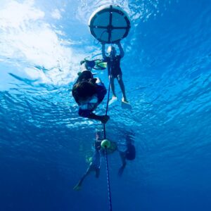 Entrenamiento y Coaching de Apnea (Bonaire)