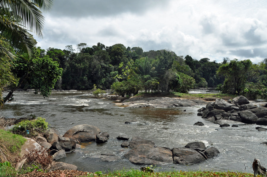 3 Días Isadou River Resort (Surinam)